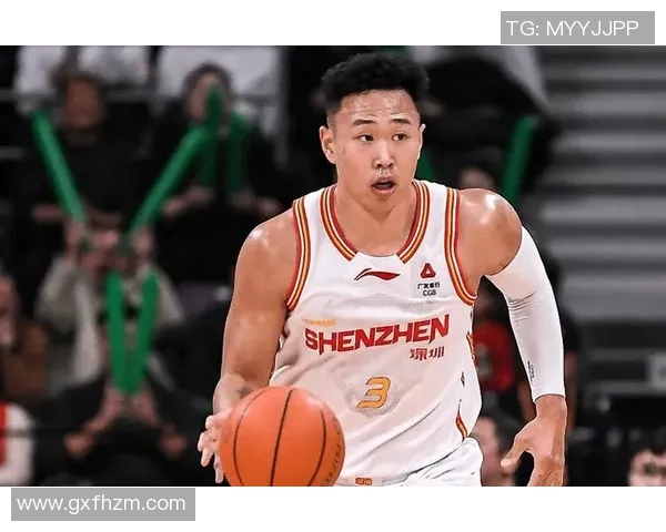 贺希宁：从青年才俊到篮球明星的成长之路与奋斗故事