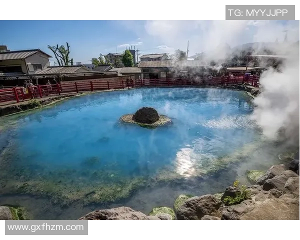 冈山绿雉与温泉的奇妙邂逅探寻自然与人文的完美融合 冈山绿雉与温泉的奇妙邂逅探寻自然与人文的完美融合