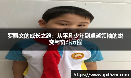 678体育官网